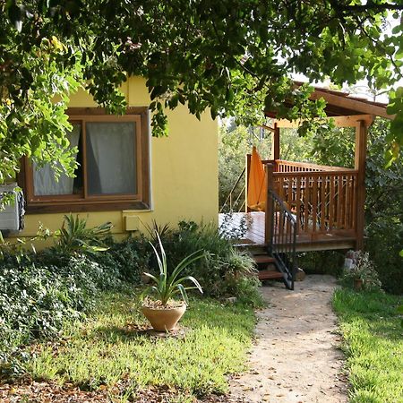 Zimmers At The Forest Amirim Exterior foto