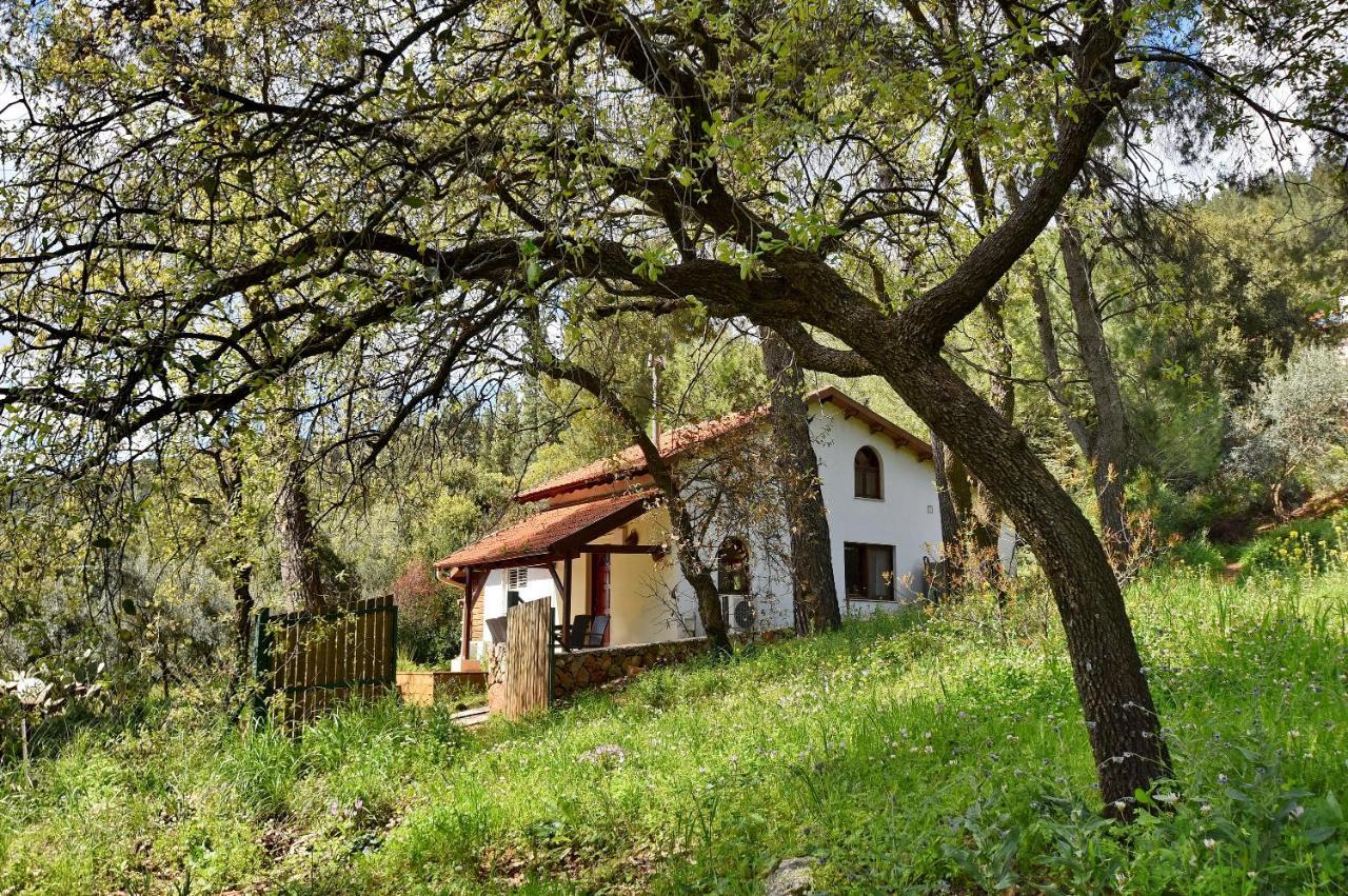 Zimmers At The Forest Amirim Exterior foto