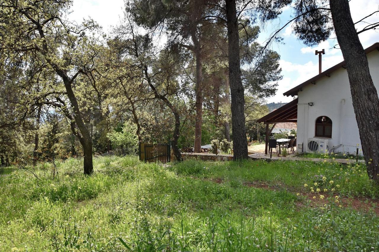 Zimmers At The Forest Amirim Exterior foto